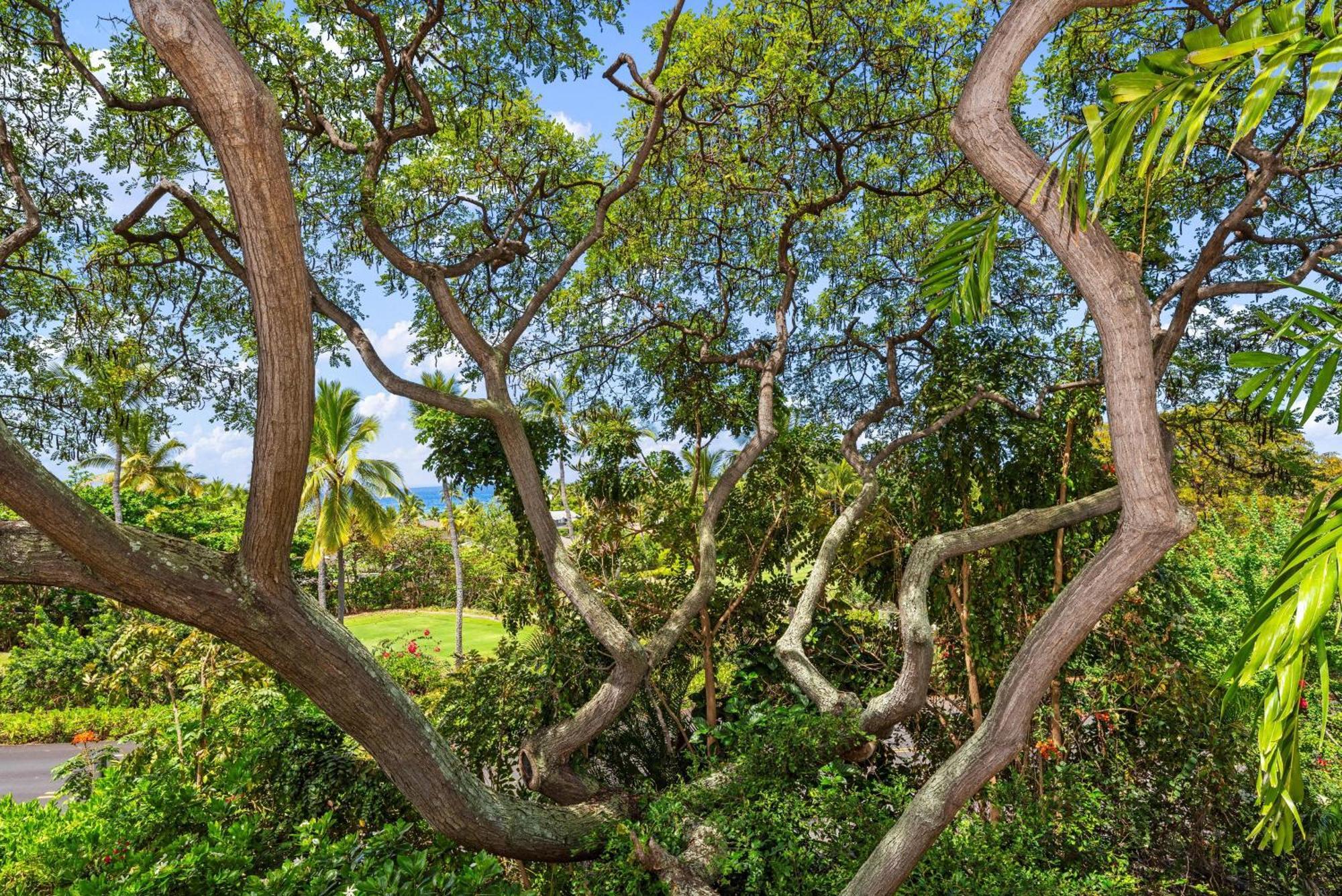 "Makani Moana" At Keauhou Resort #104, Entire Townhome Close To Kona ไคลัวโคนา ภายนอก รูปภาพ